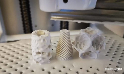 國(guó)產(chǎn)陶瓷3D打印機(jī)新突破 西安點(diǎn)云生物推出陶齒重磅產(chǎn)品